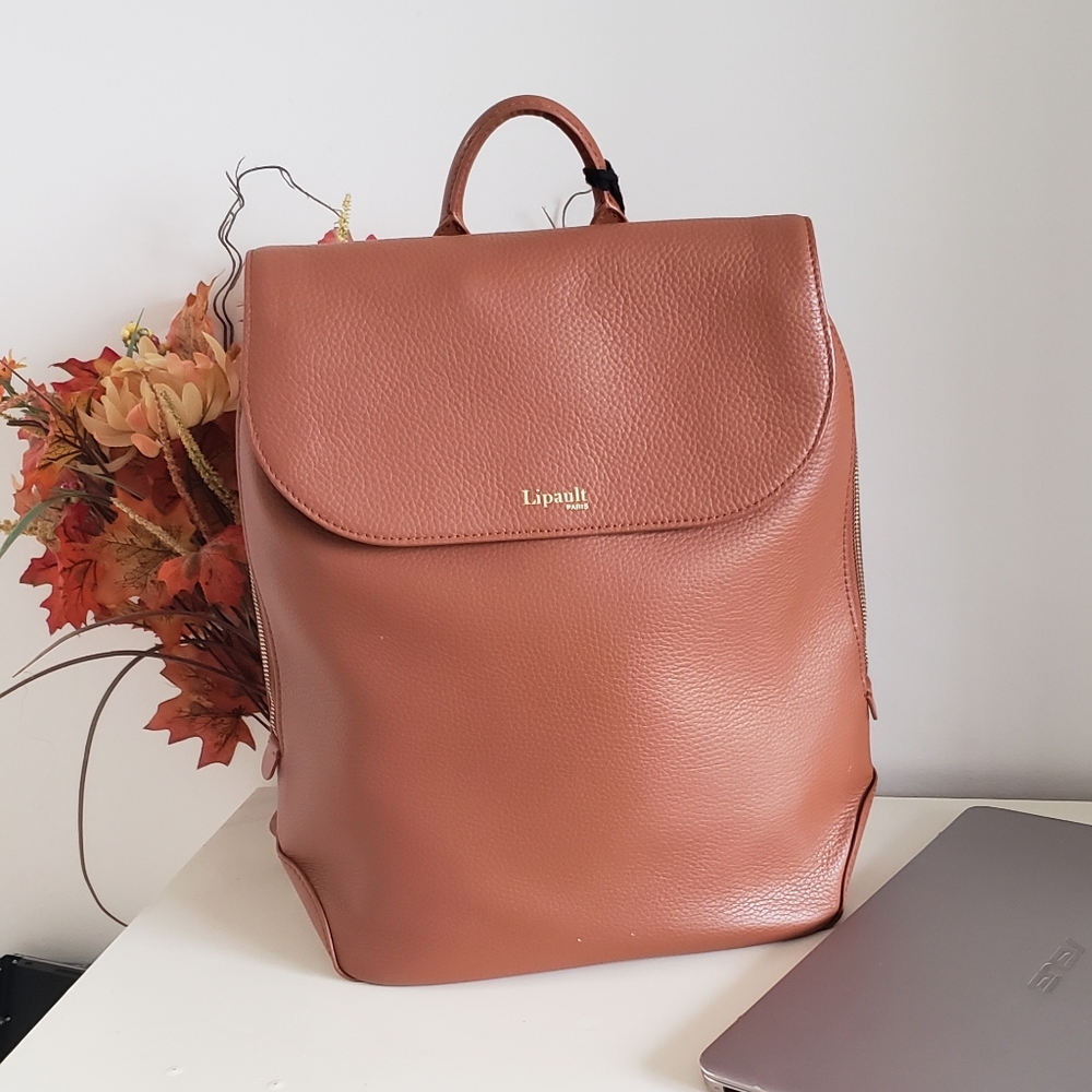 Lipault (Now Samsonite) Plume Elegance bag in luxurious pebble leather Hermes